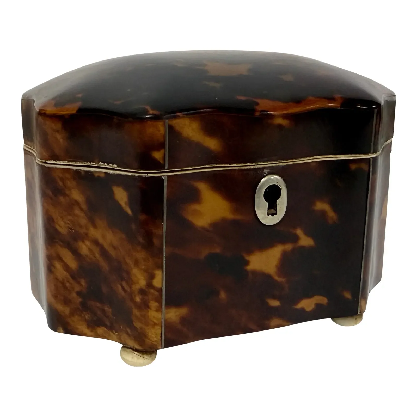 Dutch Regency Tortoiseshell Tea Caddy, Circa 1820