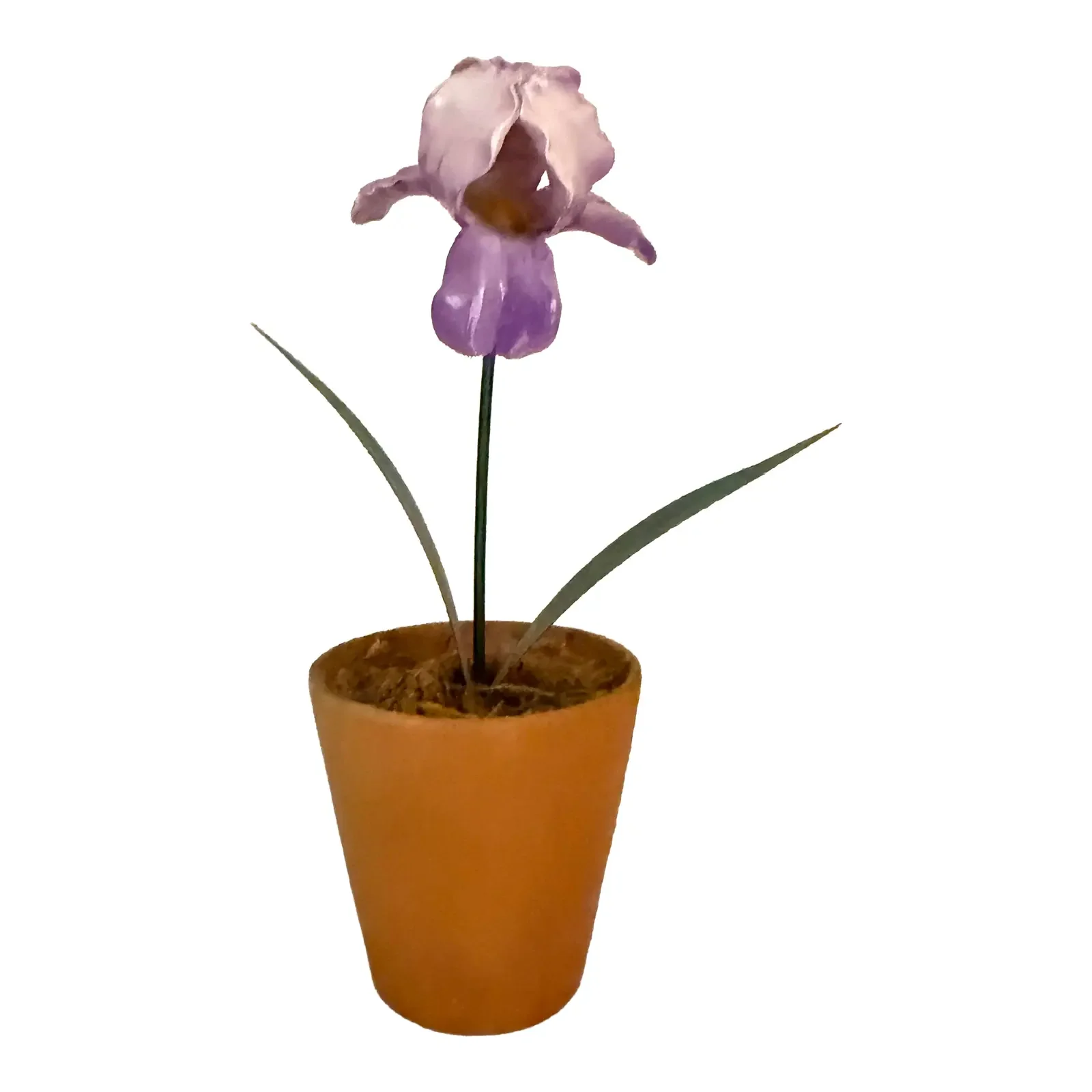 French Porcelain Flower in Terracotta Pot