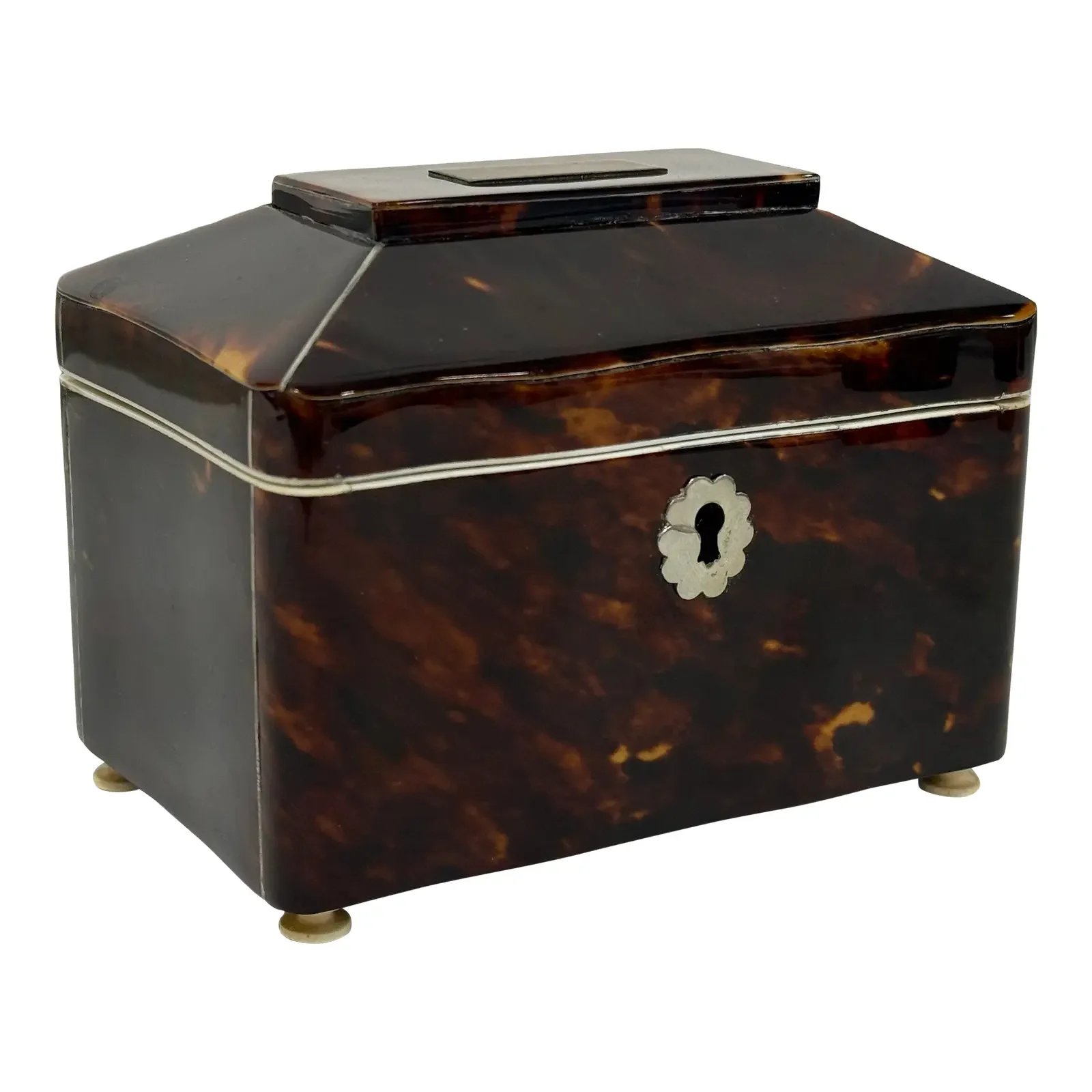 Dutch Dome-Top Faux Tortoiseshell Tea Caddy With Mounts, Circa 1830